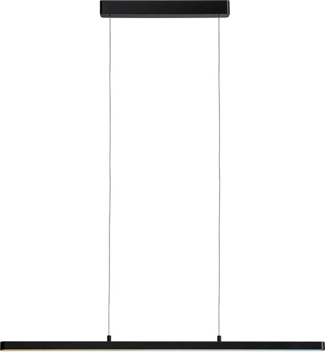 Immagine prodotto Paulmann Lampada a sospensione PAUL LED (2100 lm)