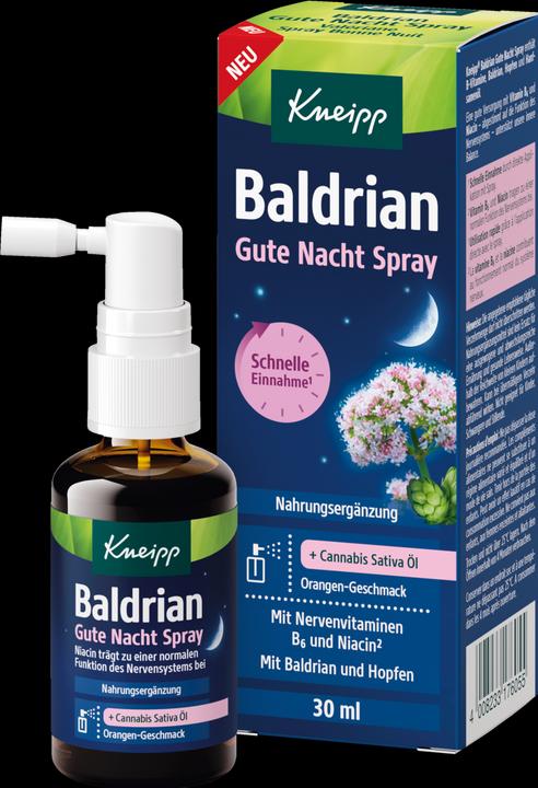 Actual product image Kneipp Gute Nacht (Spray)