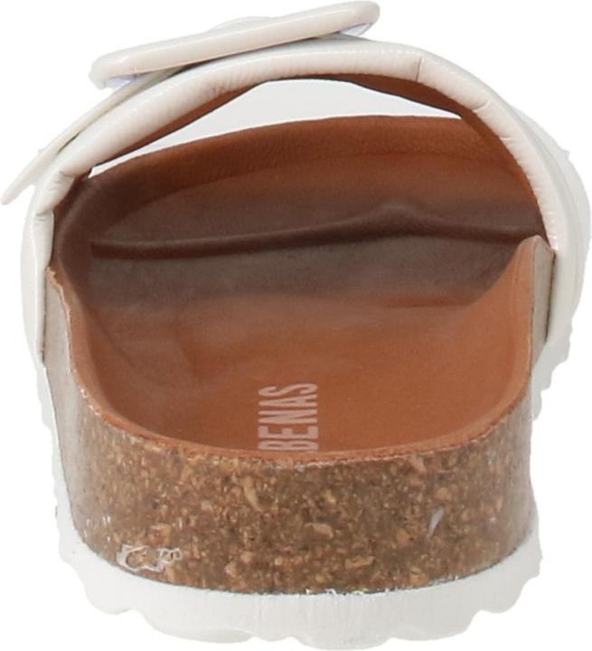 Actual product image Verbenas Reiko (41)