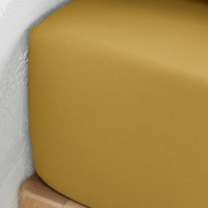 Actual product image La Redoute Interieurs Scenario fitted sheet made of cotton percale (180 x 200 cm)
