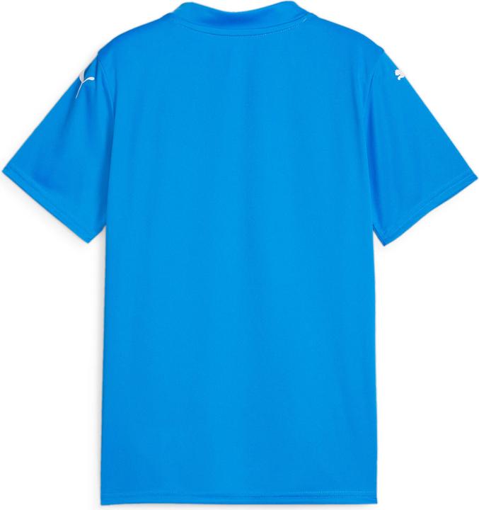 Actual product image Puma teamGLORY Jersey Jr (164)