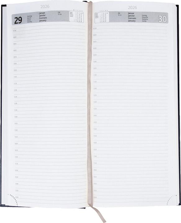 Immagine prodotto Simplex Agende business formato lungo (13,5 x 31,5 cm)