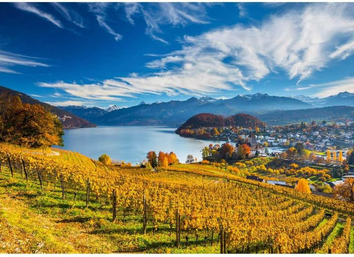 Actual product image Schmidt Spiele Vineyards (2000 pieces)