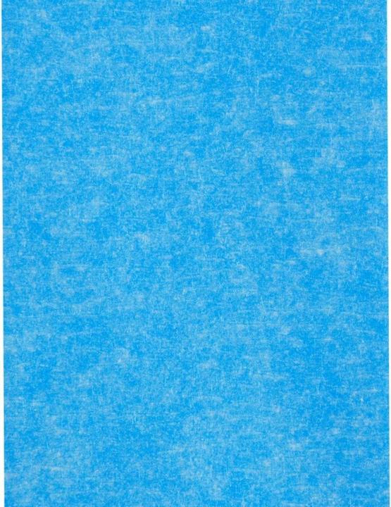 Actual product image Scotch Multi-Surface (24 mm)