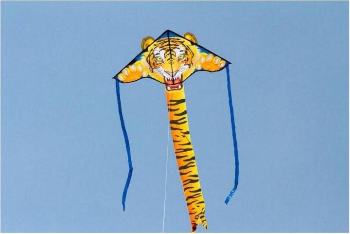 Immagine prodotto Invento Semplice Flyer Tiger