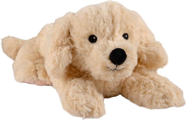 Image du produit Warmies Golden Retriever (33 cm)