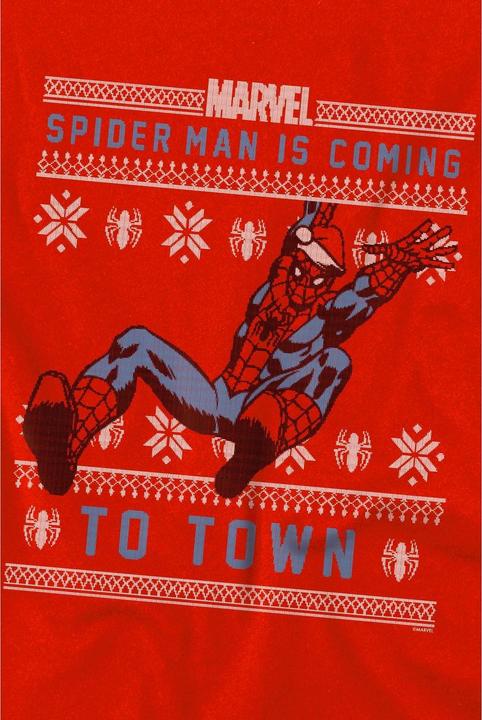 Image du produit Spiderman - T-shirt - Enfant (116)