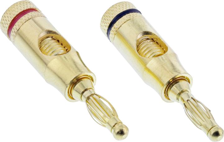 Actual product image InLine Audio plug