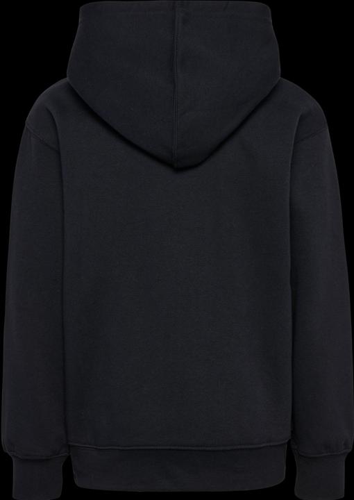 Actual product image hummel hmlCLEAN HOODIE (116)