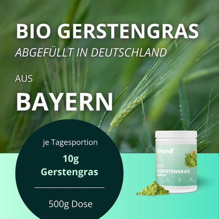 Produktbild Brandl Gerstengras (1 Stück, Pulver, 500 g)