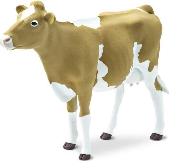 Produktbild Safari Guernsey-Rind