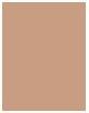 Immagine prodotto Sensai Silky Bronze Natural Veil compatto (SC03 Medio)