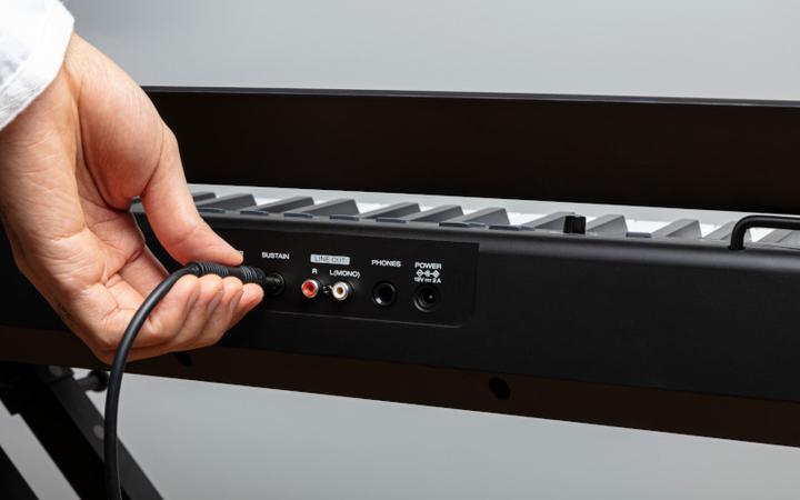 Produktbild Alesis Recital 61-Key Digital Piano (61 Tasten)