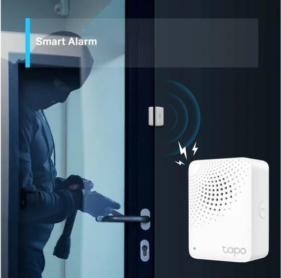 Actual product image TP-Link Tapo H100