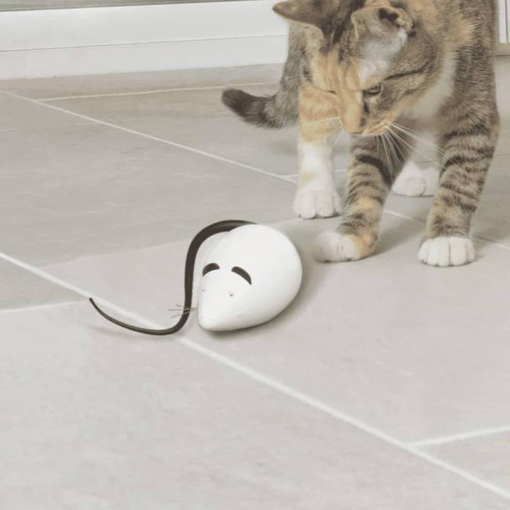 Produktbild PetSafe RoloRat Automatisches Katzenspielzeug (Katzenminzespielzeug)