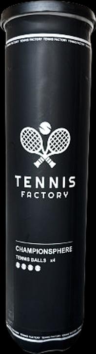 Immagine prodotto Tennis Factory Championsphere 24x 4 palline in latta