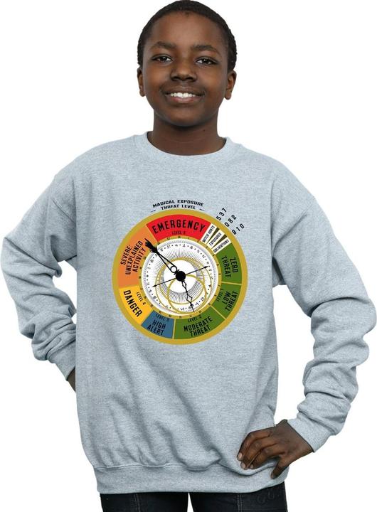 Image du produit Fantastic Beasts - Sweat THREAT LEVEL - Garçon (116)