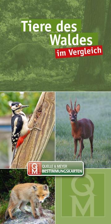 Actual product image Tiere des Waldes (German, Quelle & Meyer Publishers, 2021)