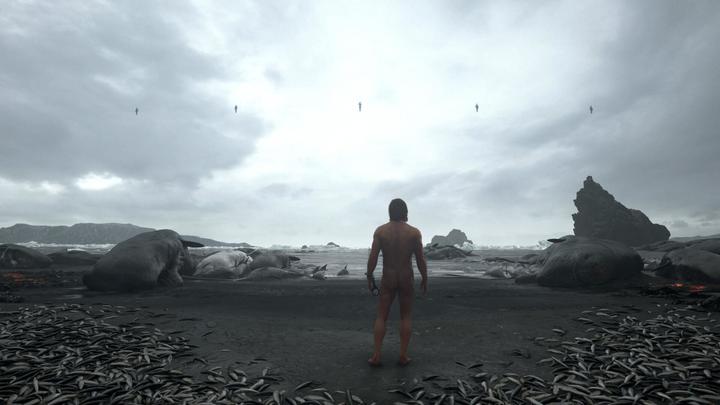 Actual product image Sony Death Stranding (Nordic Version) (PS4, EN)