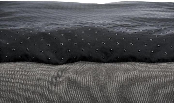 Actual product image Trixie Be Nordic Föhr (Dog)