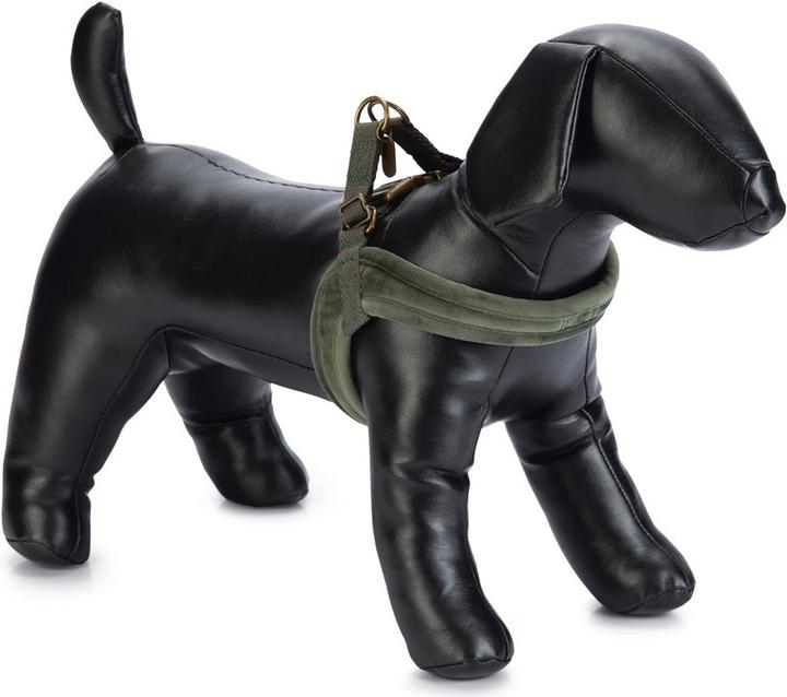 Actual product image Designed by Lotte Velura (XXS, XS, S, M, L, Dog, Walks)