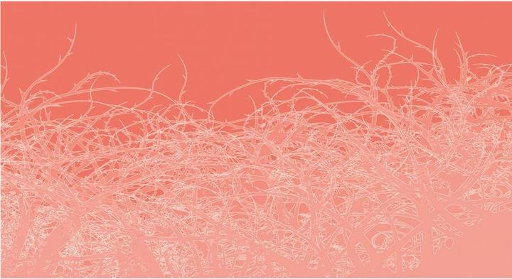 Actual product image Architects Paper Atelier 47 Thorn Style graphic (6 x 2 cm)