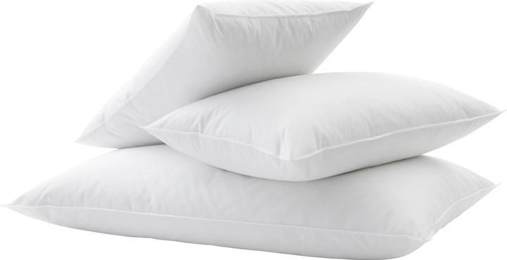 Produktbild Billerbeck Duplo 150 (50 x 90 cm)
