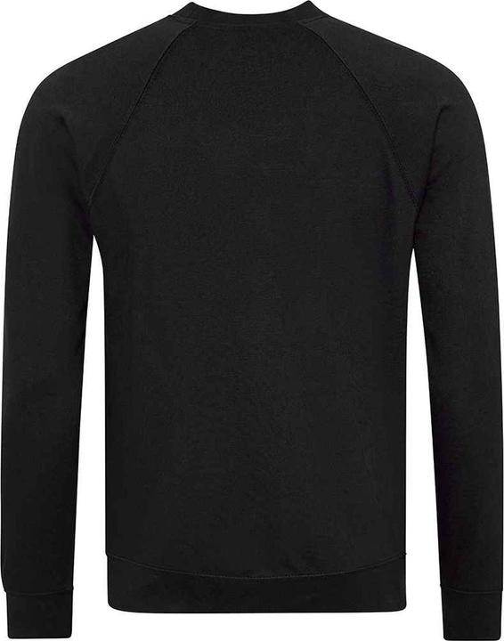 Actual product image Awdis Childrens/Kids Academy Raglan Sweatshirt (L)