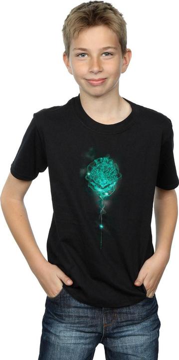 Actual product image Boys Hogwarts Crest Mist T-Shirt (140, 146)