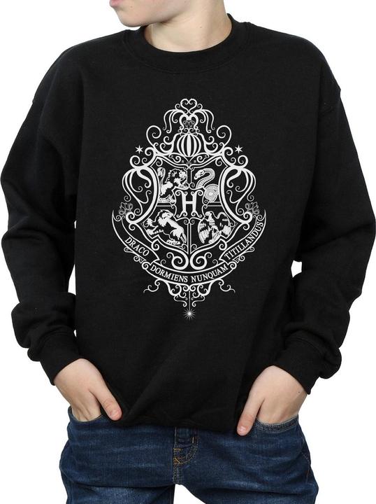 Image du produit - Sweat HOGWARTS DRACO DORMIENS CREST - Garçon (128)