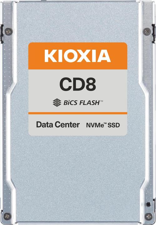 Kioxia CD8-R Series KCD8XRUG960G - SSD - Read Intensive - 960 GB - data centre SSD - internal (960 GB, 2.5")