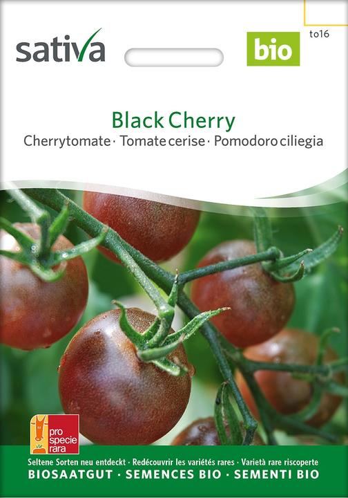 Produktbild Sativa Cherrytomate Black Cherry (Samenbomben)