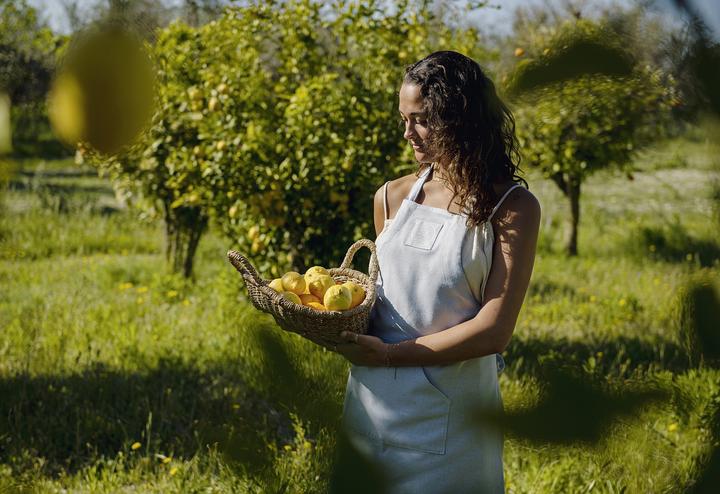 Actual product image Witloft Apron (One size)