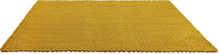 Golden Mustard