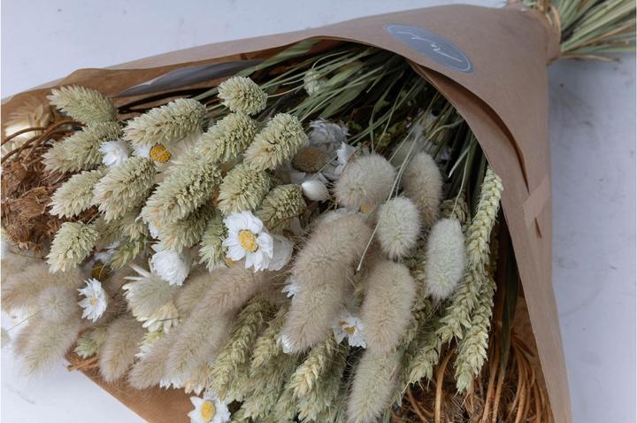 Actual product image Anjel Bianca (Dried flowers)
