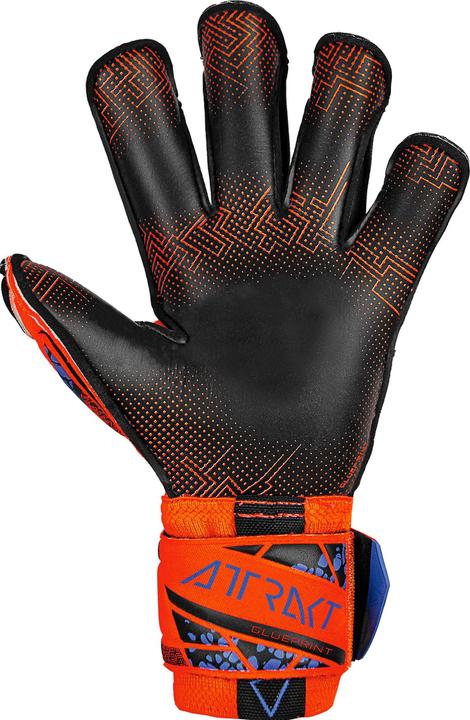 Immagine prodotto Reusch Guanto da portiere Attrakt Gold X - 9 (9)