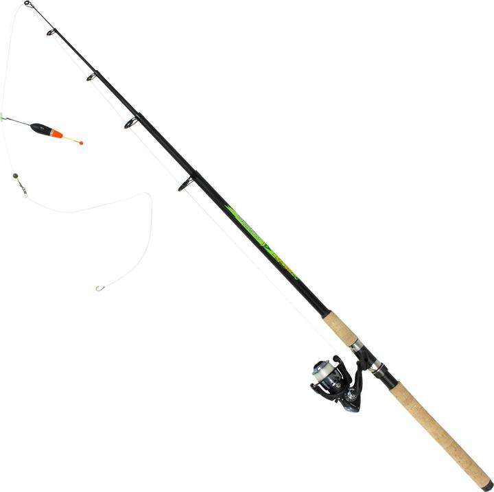 Immagine prodotto Arapaima Fishing Equipment Carpa e anguilla (Asta a tutto tondo, 100 cm)