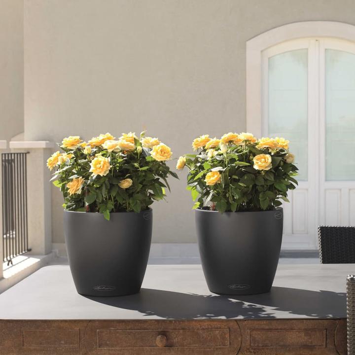 Image du produit Lechuza Classico Color (27.50 cm)