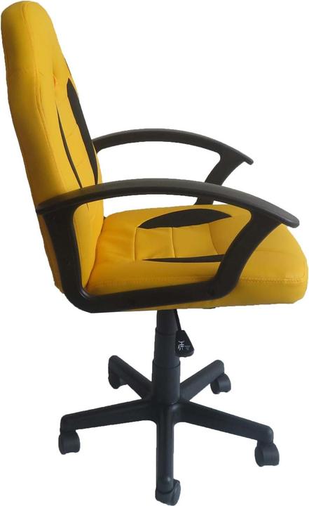 Image du produit HTI-Line Chaise pivotante