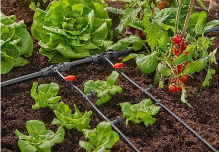 Immagine prodotto Gardena Sistema a micro-goccia Row Drip (Gocciolatore per irrigazione a goccia)