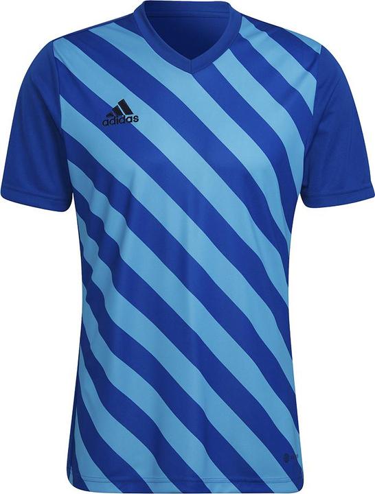 Produktbild adidas Entrada 22 Graphic Fussballtrikot Herren (M)