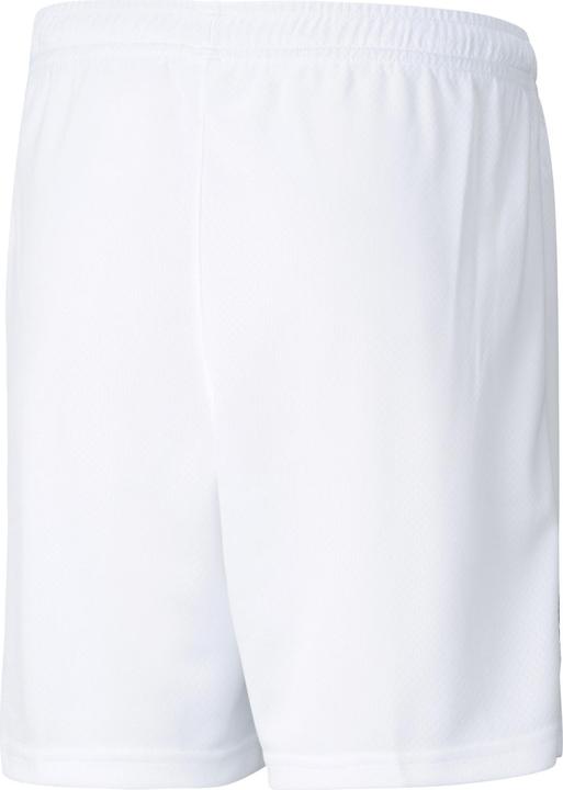 Actual product image Puma Iceland Away Kids Shorts (164)