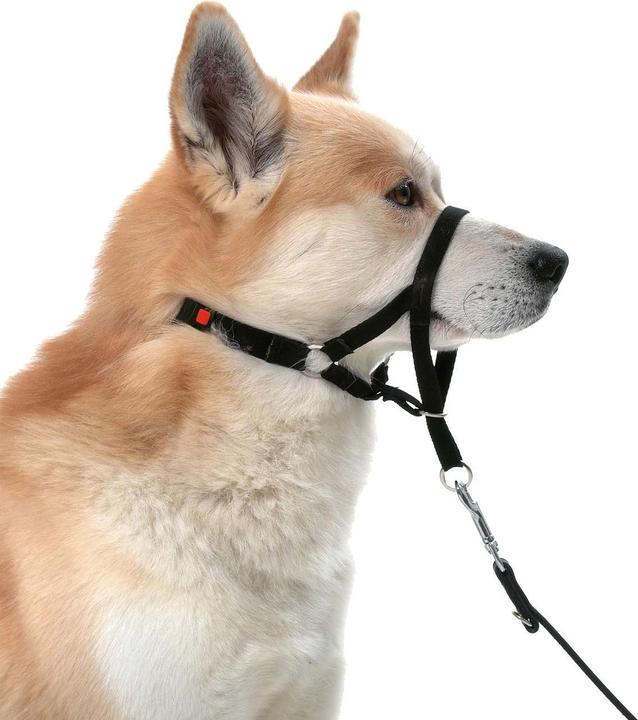 Actual product image Karlie Easy Leader (L, Dog, General)
