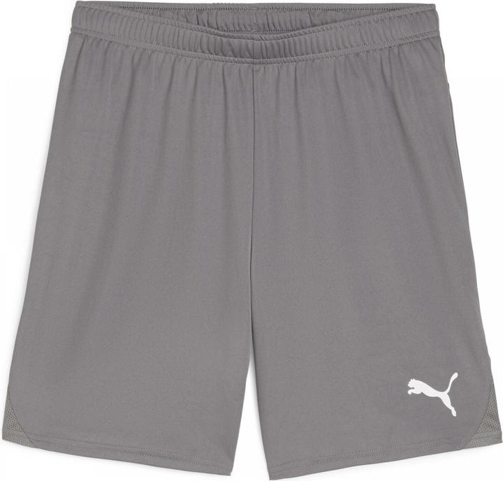 Actual product image Puma teamGOAL shorts (XXL)