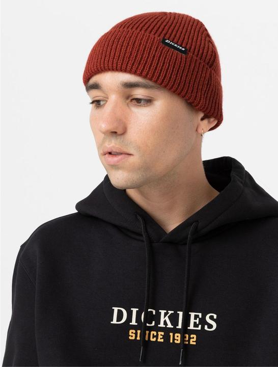 Actual product image Dickies Woodworth Beanie