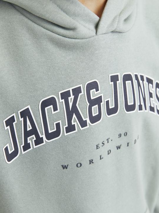 Produktbild Jack & Jones Jjecaleb Varsity Sweat Hood Noos Jnr (152)