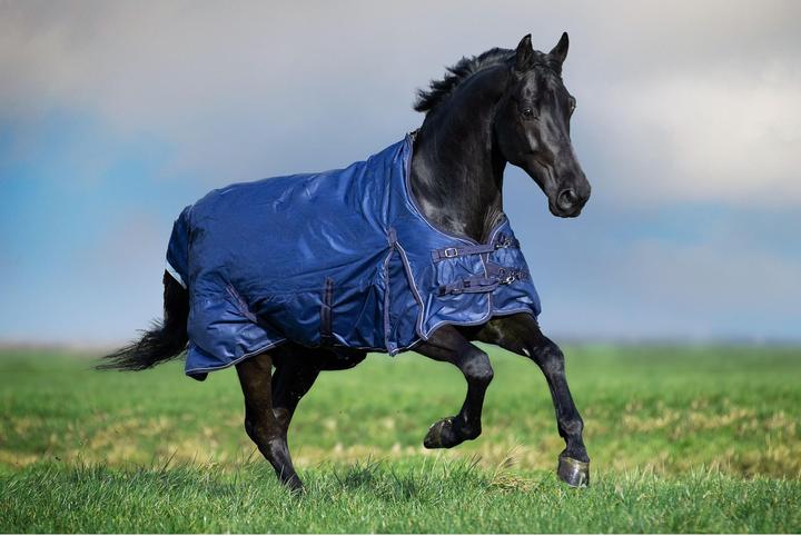 Immagine prodotto Imperial Riding Super-dry 200 g (175 cm)