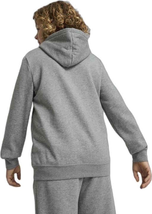 Actual product image Puma ESS No. 1 Logo Hoodie FL B (176)