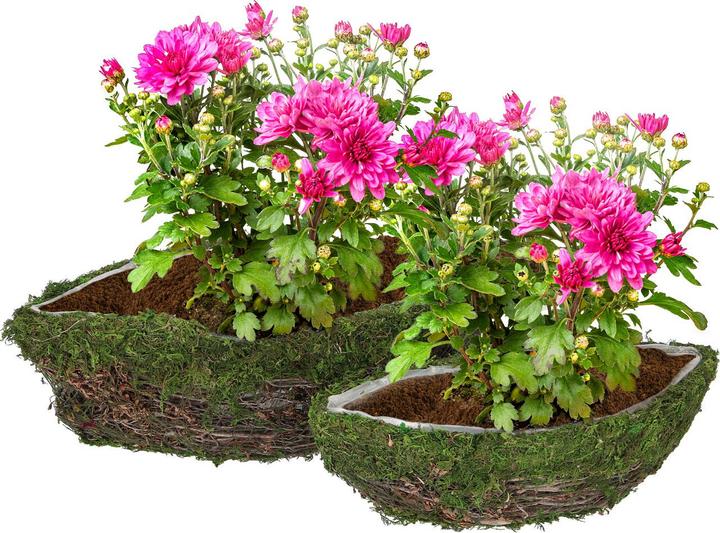Image du produit Natura Punto Lot de 2 cache-pots ou coupes décoratives en matériaux naturels