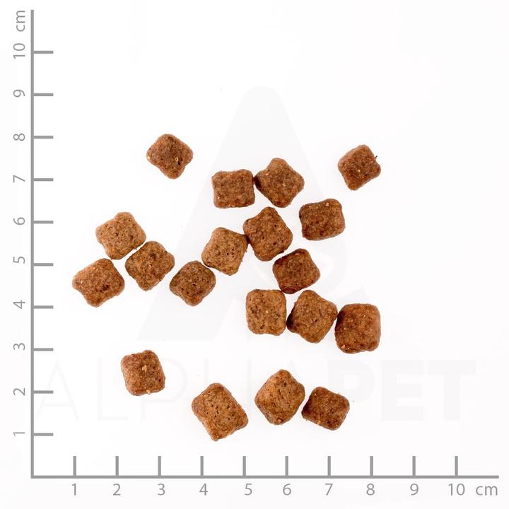 Produktbild Wolfsblut Wild Duck Small Breed (Adult, 1 Stk., 2000 g)